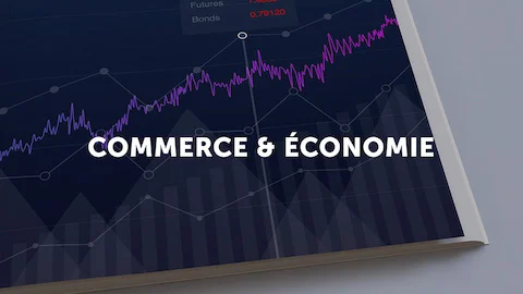 Photo of a self-published book on business with a graph representing the Lulu bookstore category business & economics