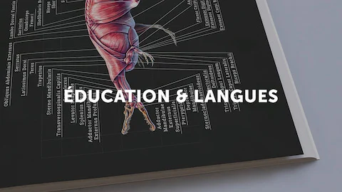 Photo of a self-published anatomy book representing the Lulu bookstore category education and language